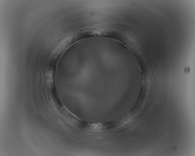 X0000112020127200908031406