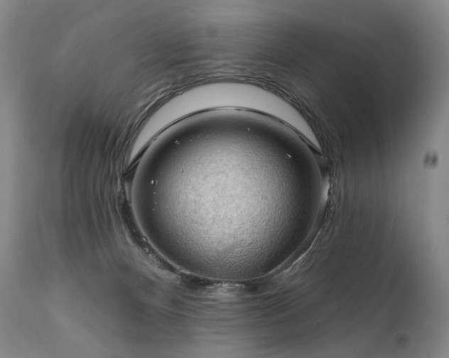 X0000112020128200908031406