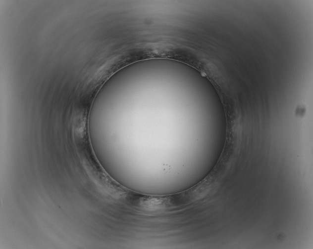 X0000112020129200908031406