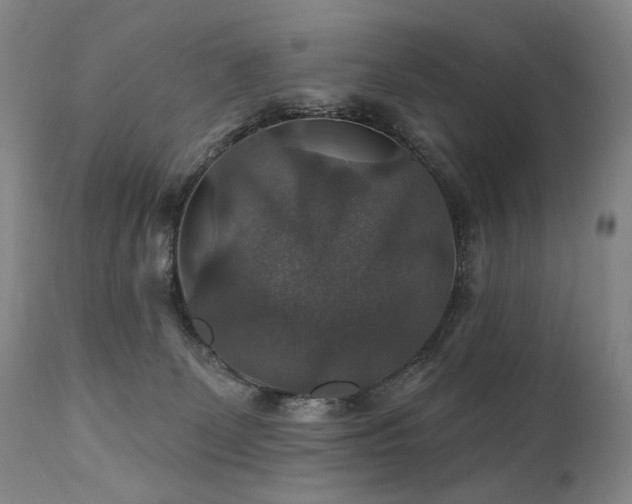 X0000112020131200908031406