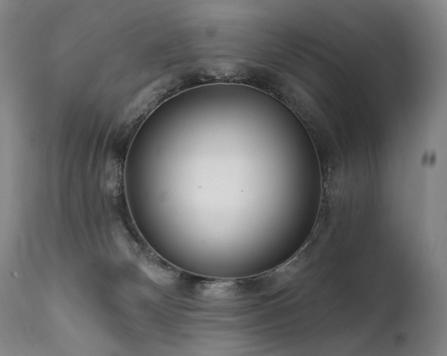 X0000112020132200908031406