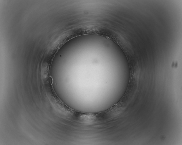 X0000112020133200908031406