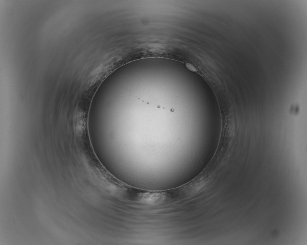 X0000112020135200908031406