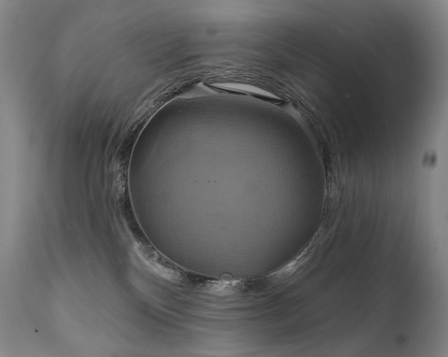 X0000112020136200908031406