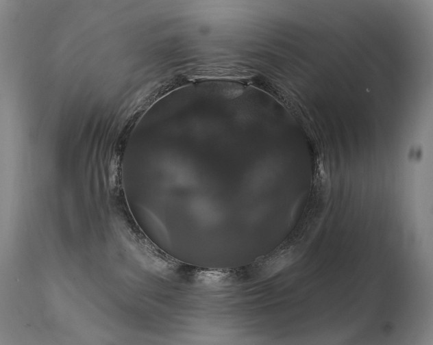 X0000112020139200908031406