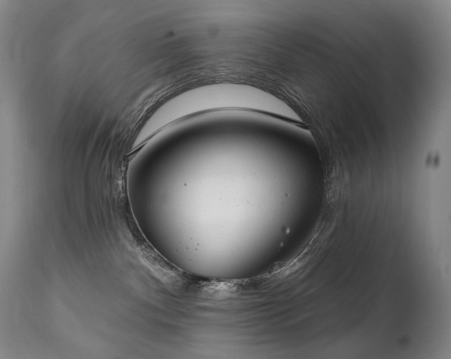 X0000112020140200908031406