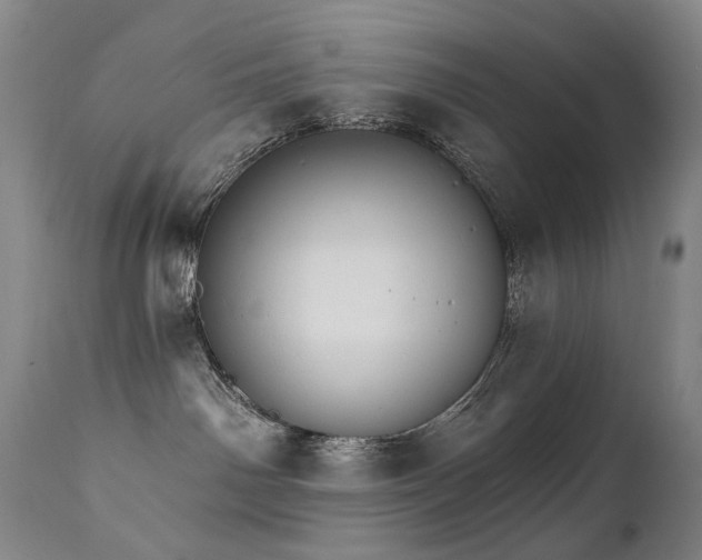 X0000112020142200908031406