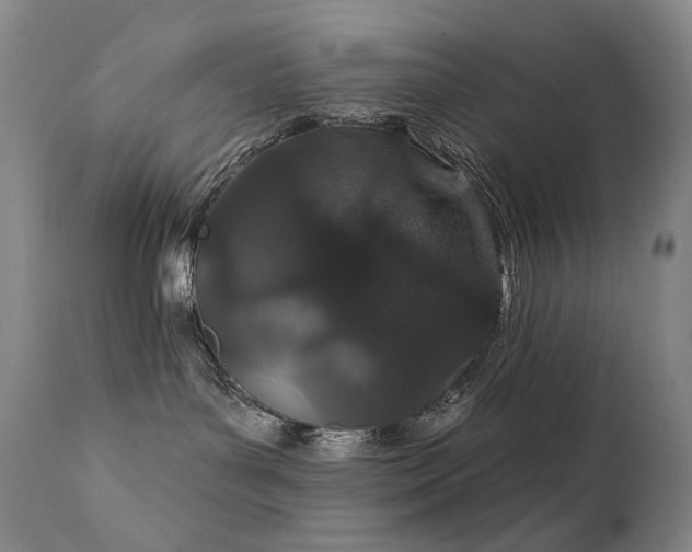 X0000112020143200908031406