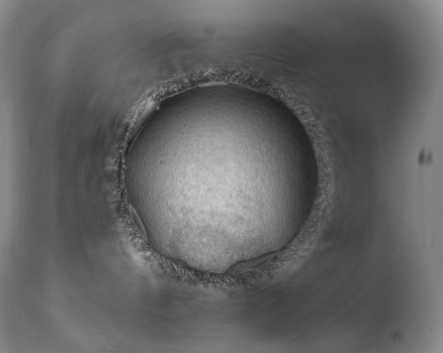 X0000112020144200908031406