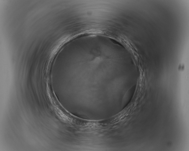 X0000112020145200908031405