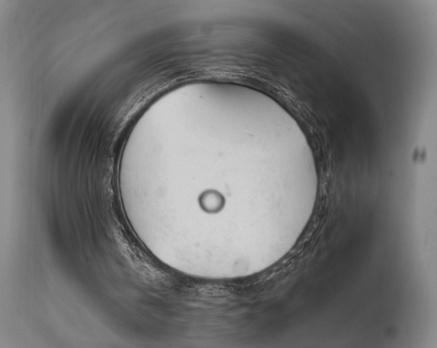 X0000112020146200908031405