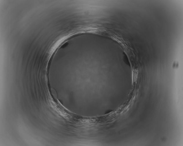 X0000112020147200908031405