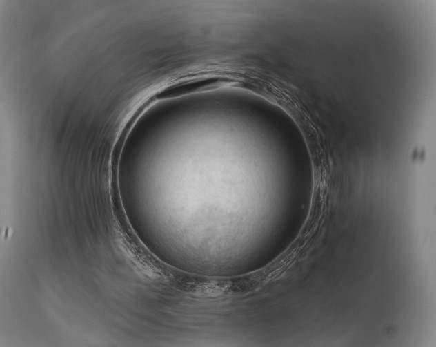 X0000112020148200908031405