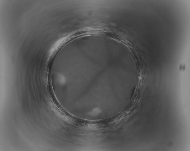 X0000112020149200908031405