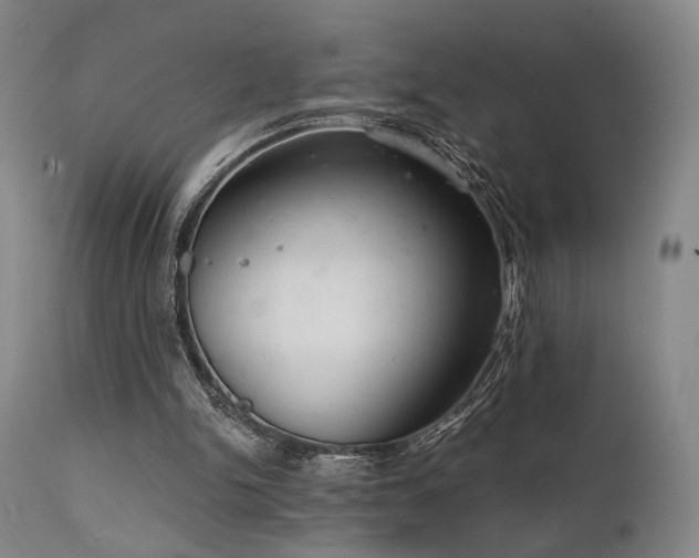 X0000112020150200908031405