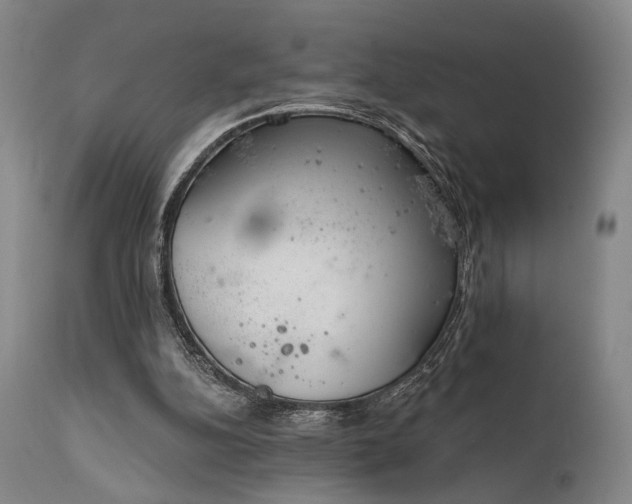 X0000112020152200908031406