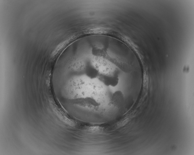 X0000112020153200908031406