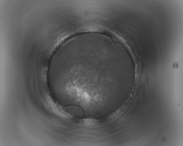 X0000112020154200908031406