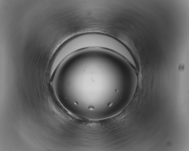 X0000112020156200908031406