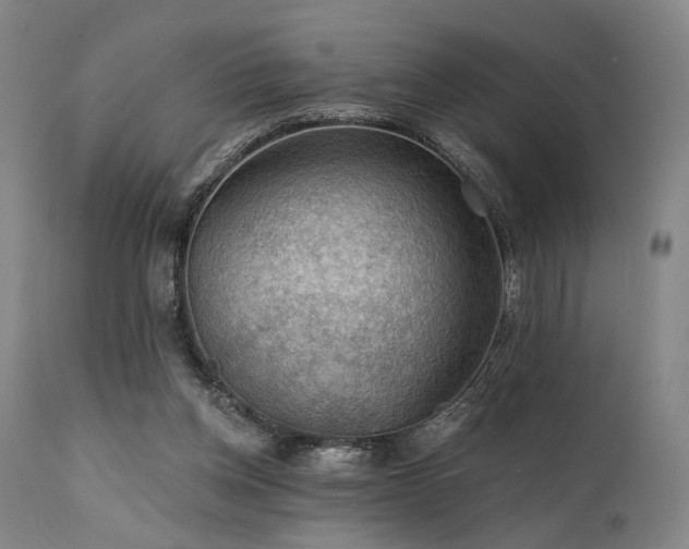 X0000112020158200908031406