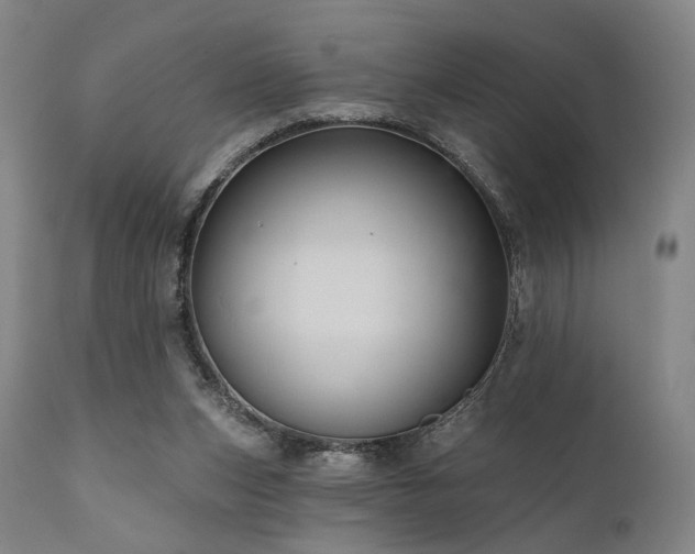 X0000112020159200908031406