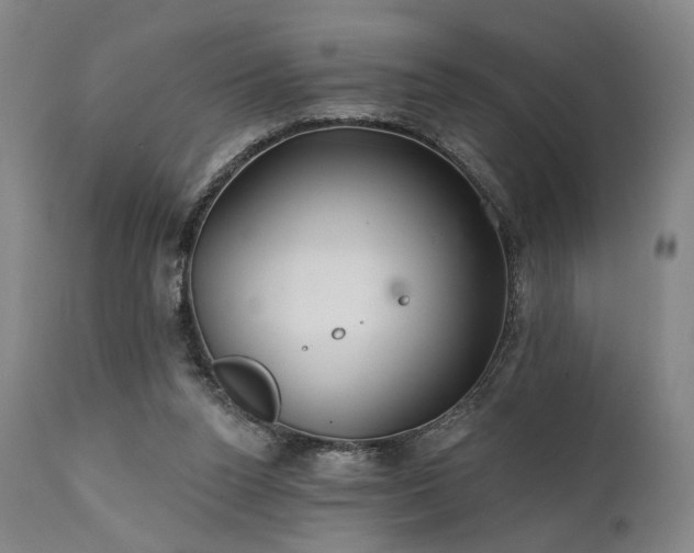 X0000112020160200908031406