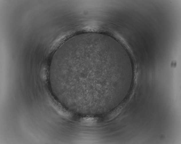 X0000112020161200908031406