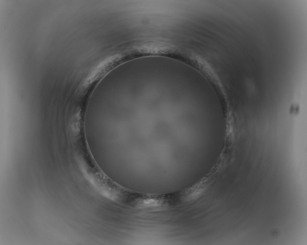 X0000112020163200908031406