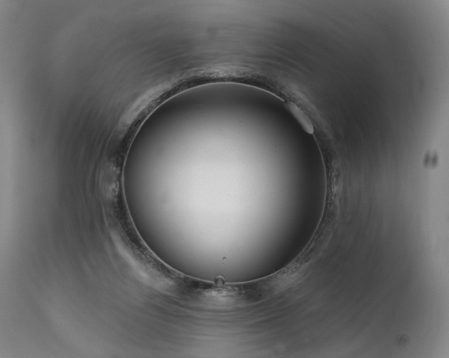 X0000112020164200908031406