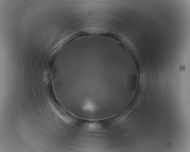 X0000112020165200908031406