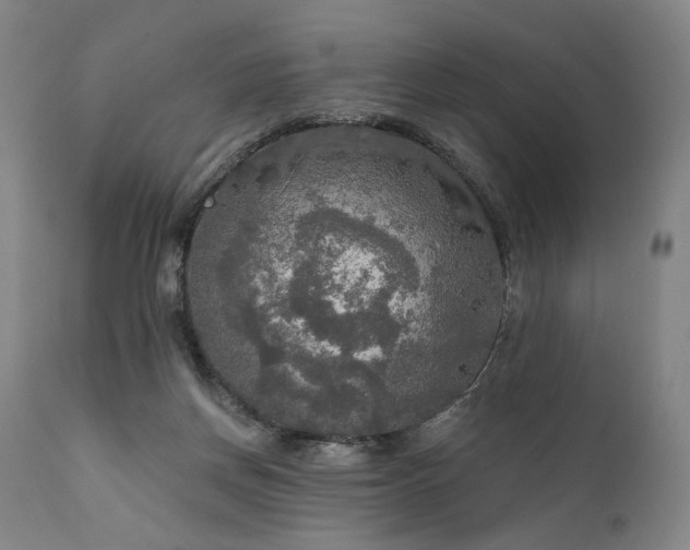 X0000112020166200908031406