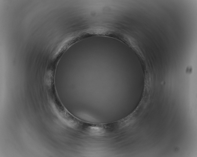 X0000112020167200908031406