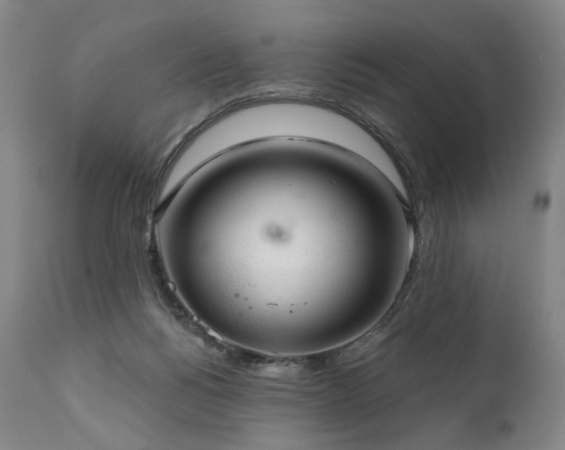 X0000112020168200908031406