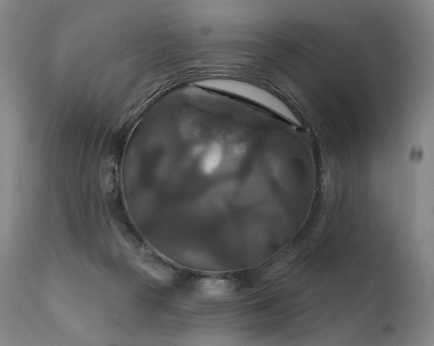 X0000112020169200908031406