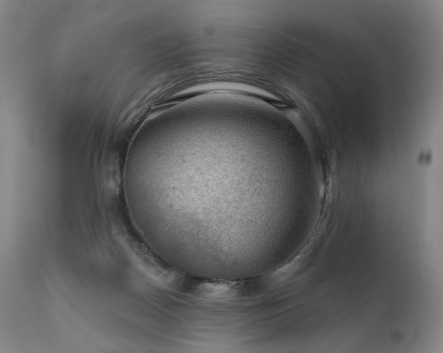 X0000112020170200908031406