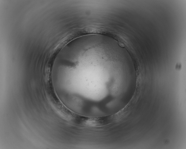 X0000112020171200908031406