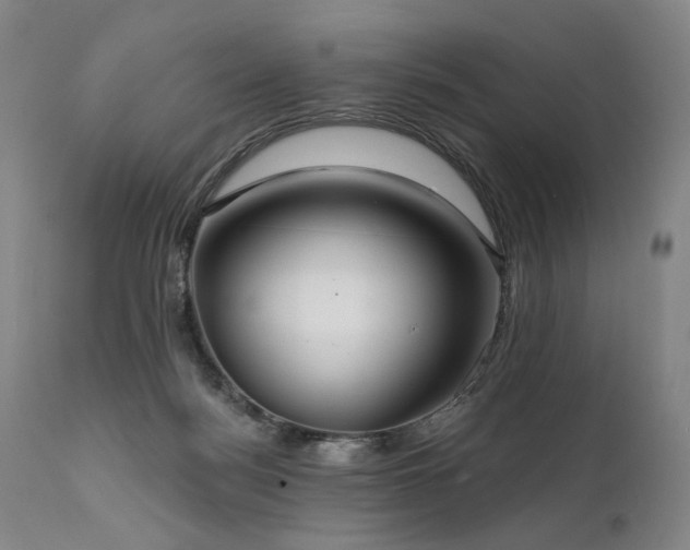 X0000112020172200908031406