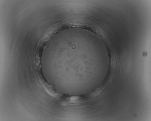 X0000112020173200908031406