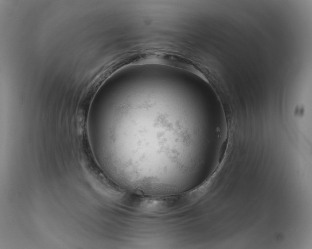 X0000112020174200908031406