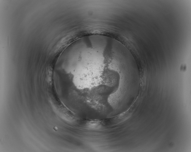 X0000112020175200908031406