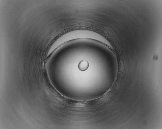 X0000112020176200908031406