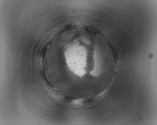 X0000112020178200908031406