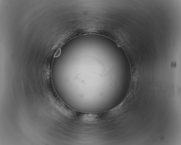 X0000112020179200908031406