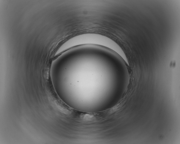 X0000112020180200908031406