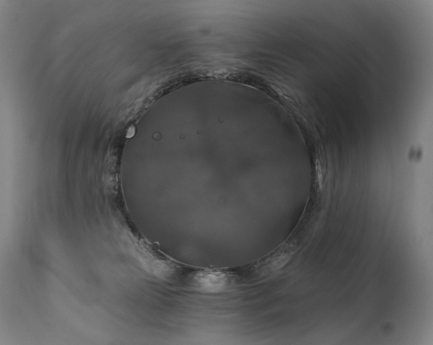 X0000112020181200908031406