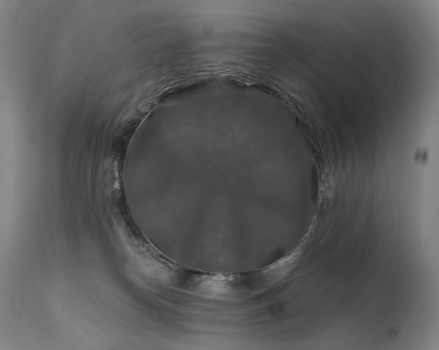 X0000112020182200908031406