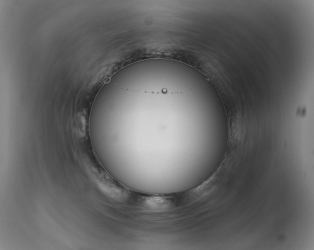 X0000112020183200908031406