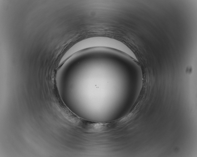 X0000112020184200908031406