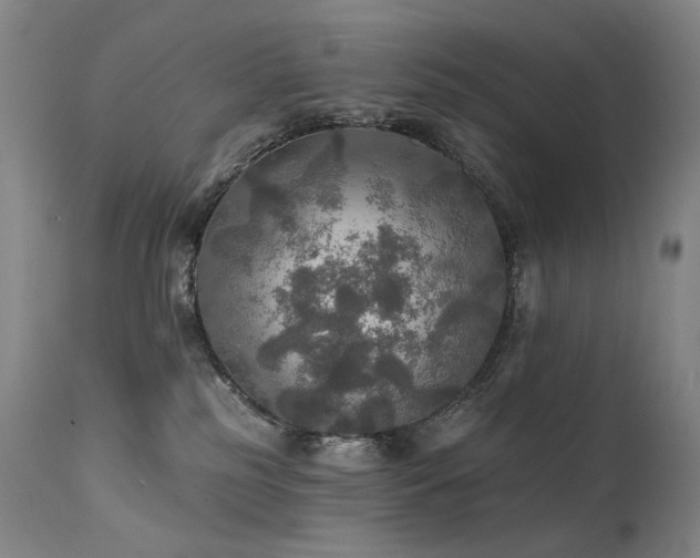 X0000112020185200908031406