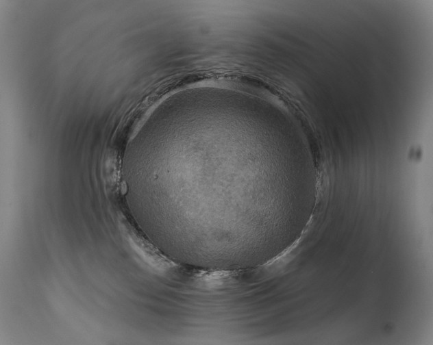 X0000112020186200908031406